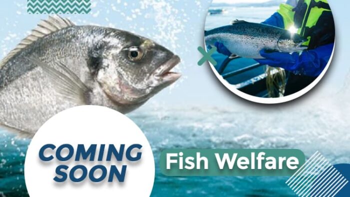 Fish Welfare