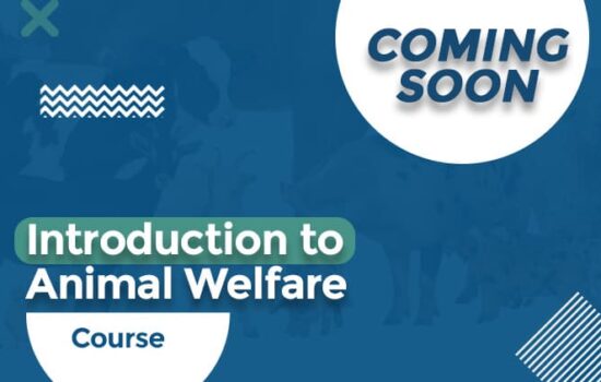 Introduction to Animal Welfare