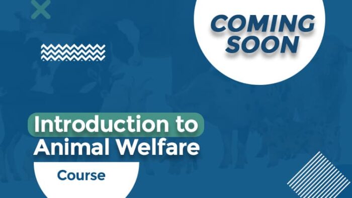 Introduction to Animal Welfare